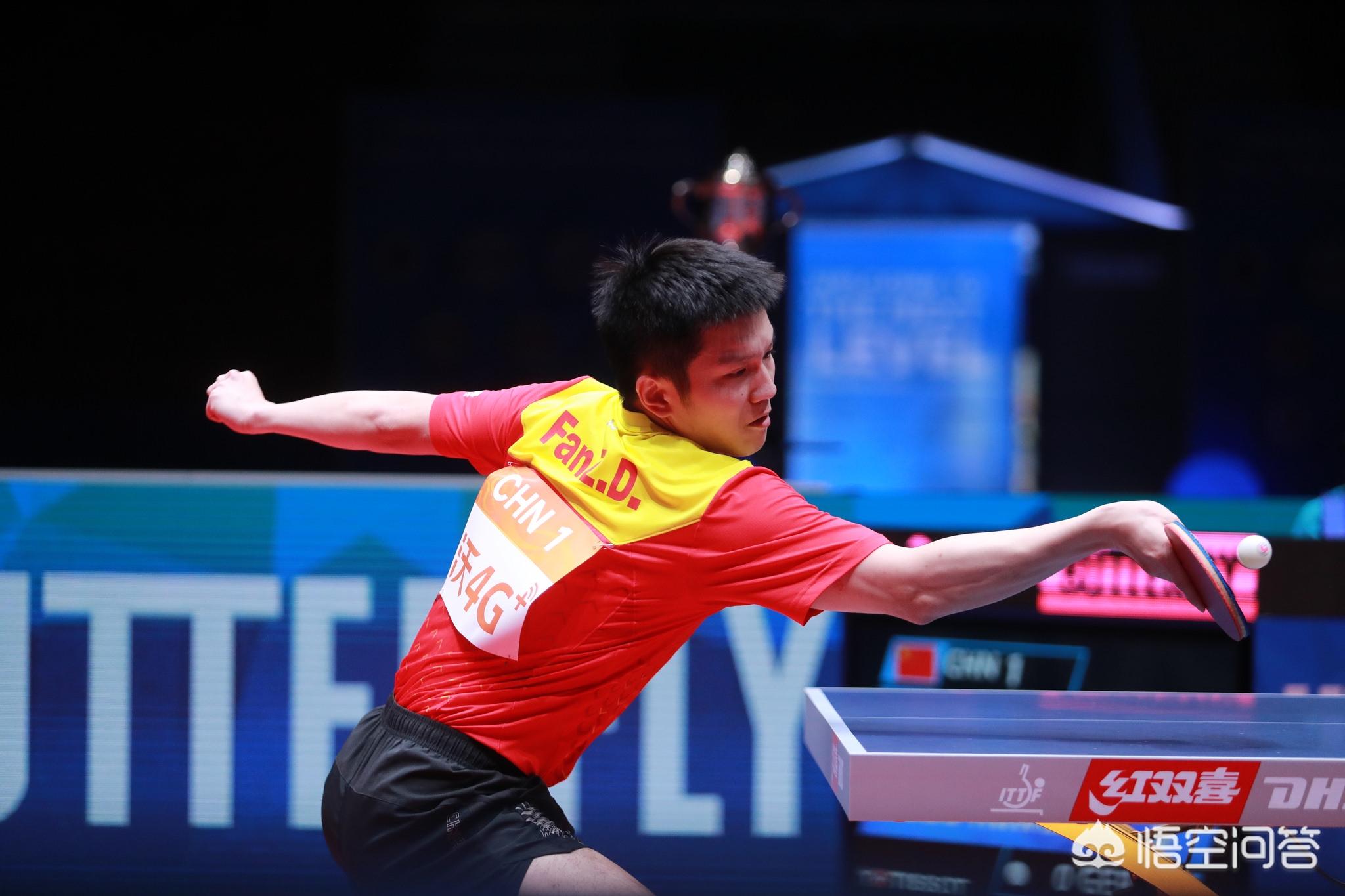 与常规赛不 与常规赛不